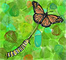 A caterpilar turns into a butterfly